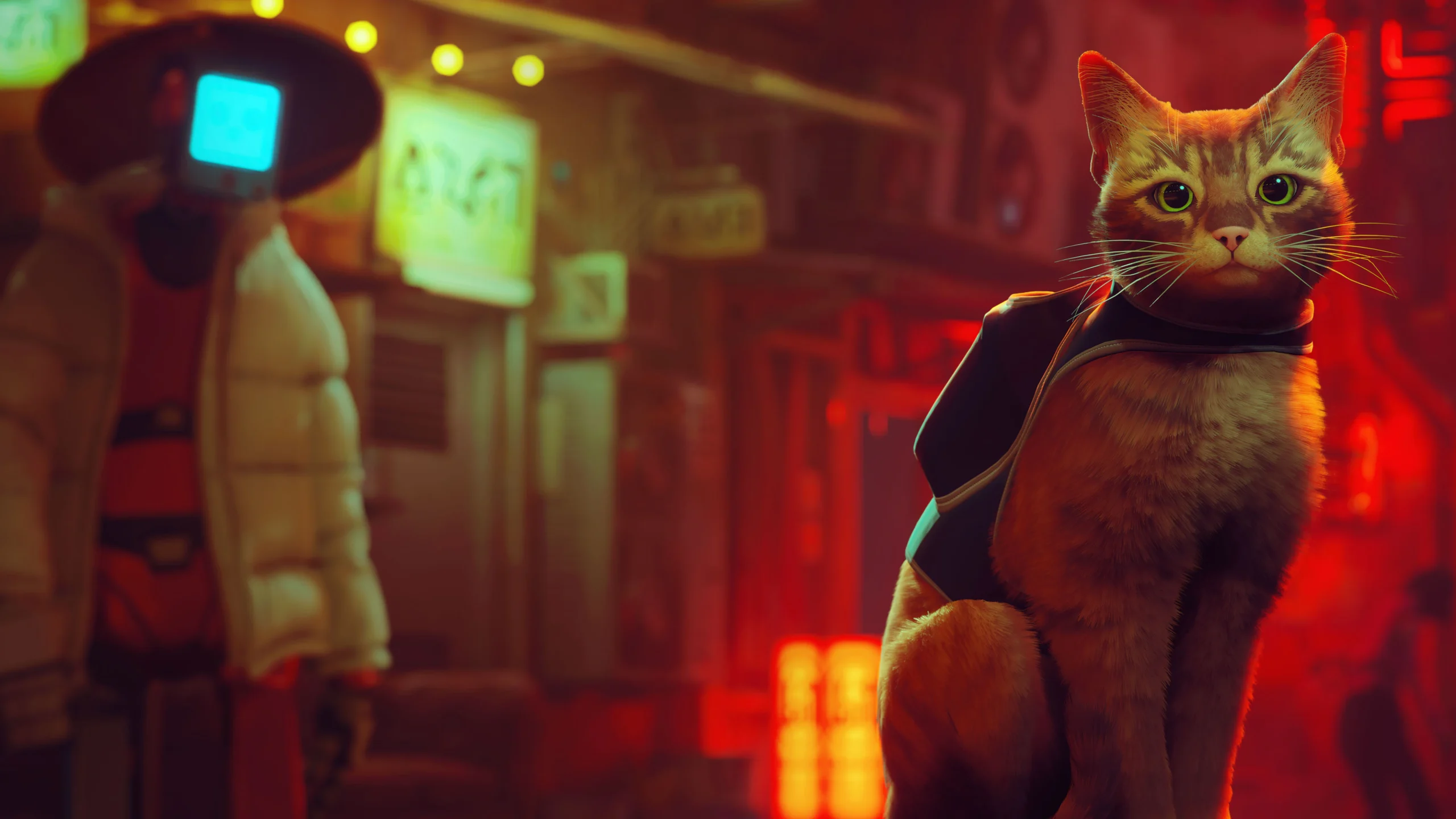 Pour la Journée Internationale du Chat, Stray annonce sa date de sortie sur Switch le 19 Novembre.