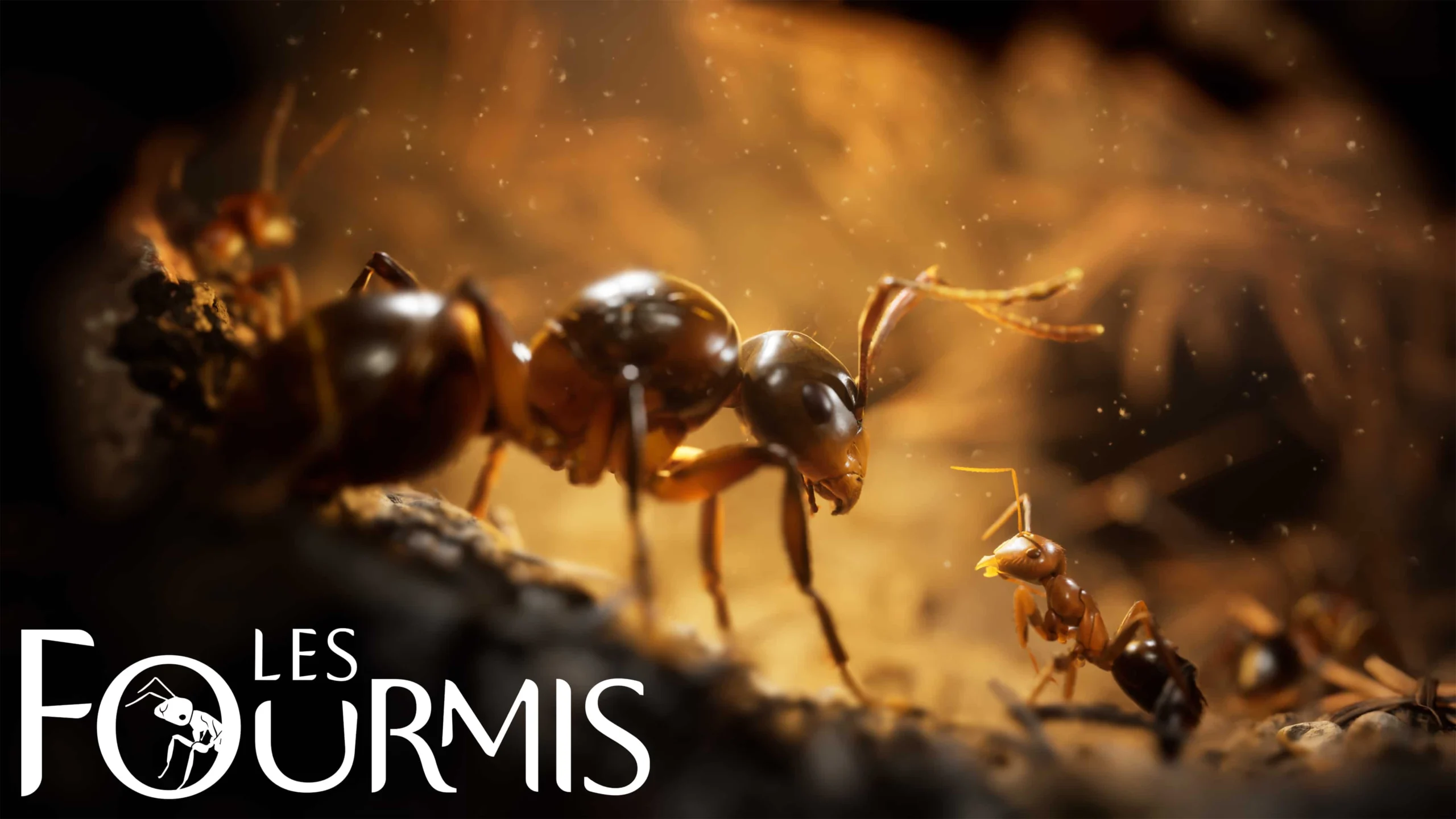 Les Fourmis : un superbe jeu de stratégie en temps réel.