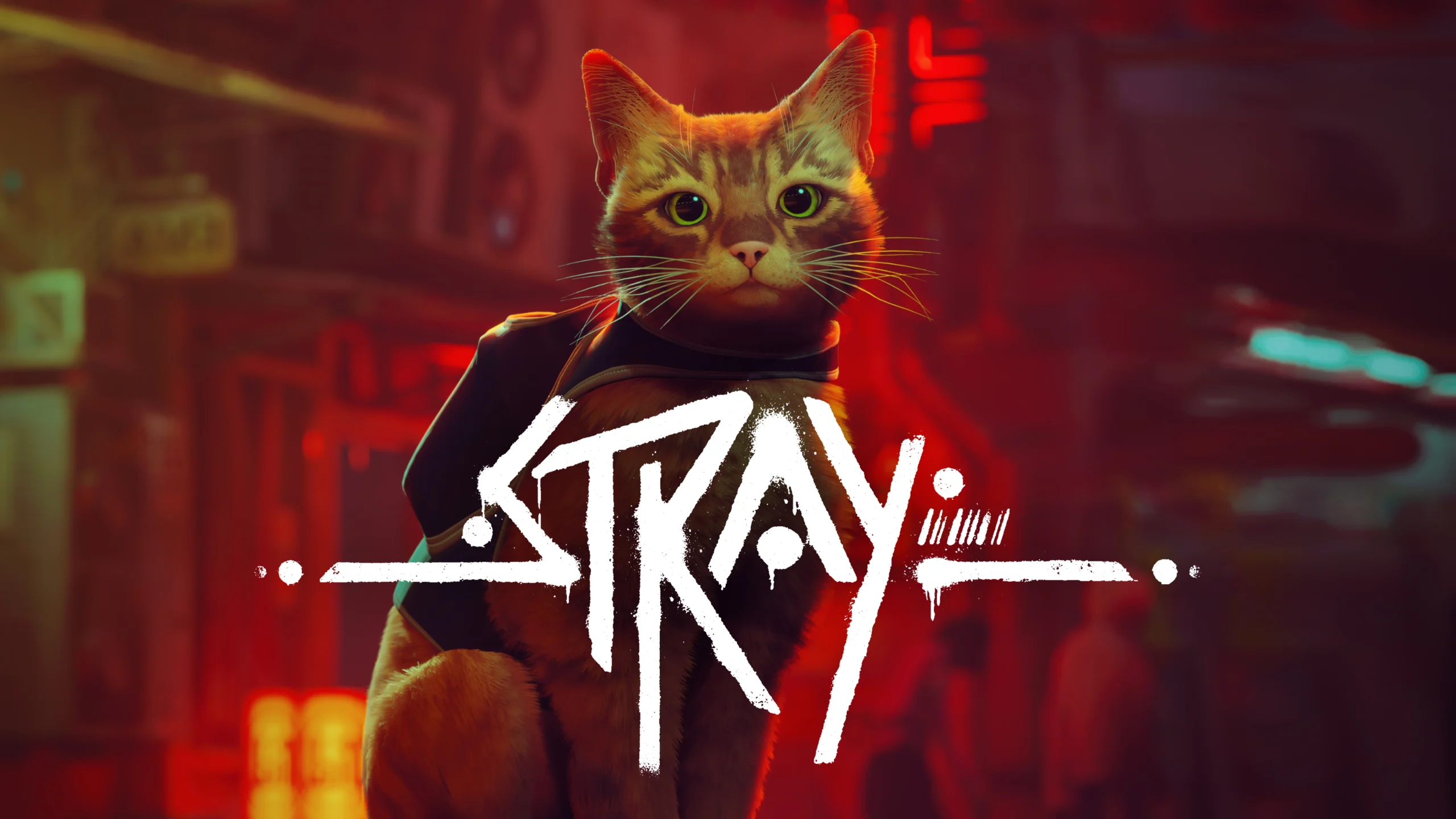 Stray sur Switch : promo version physique