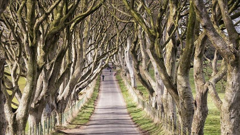 découvrez les dernières nouvelles sur la série dérivée de game of thrones et l'espoir renouvelé des fans pour de nouvelles aventures dans cet univers épique.