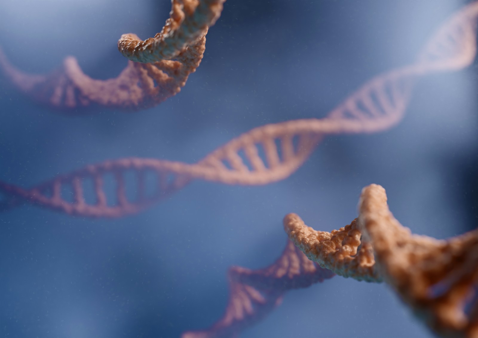 découvrez comment les gènes influencent la durée de vie et les mécanismes biologiques liés au vieillissement.