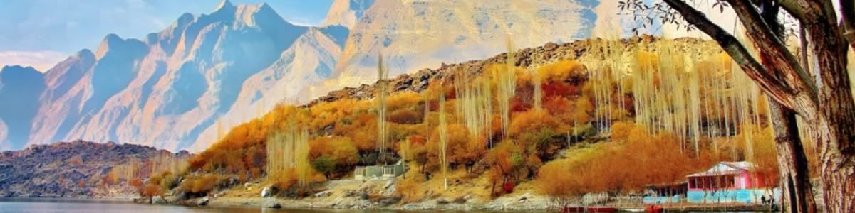 découvrez comment profiter pleinement du streaming en urdu avec nos conseils pratiques et une sélection des meilleures plateformes pour regarder vos films et séries préférés en langue urdu.