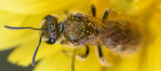 découvrez comment identifier un film grâce à des moteurs innovants qui facilitent la recherche et la reconnaissance rapide des œuvres cinématographiques.