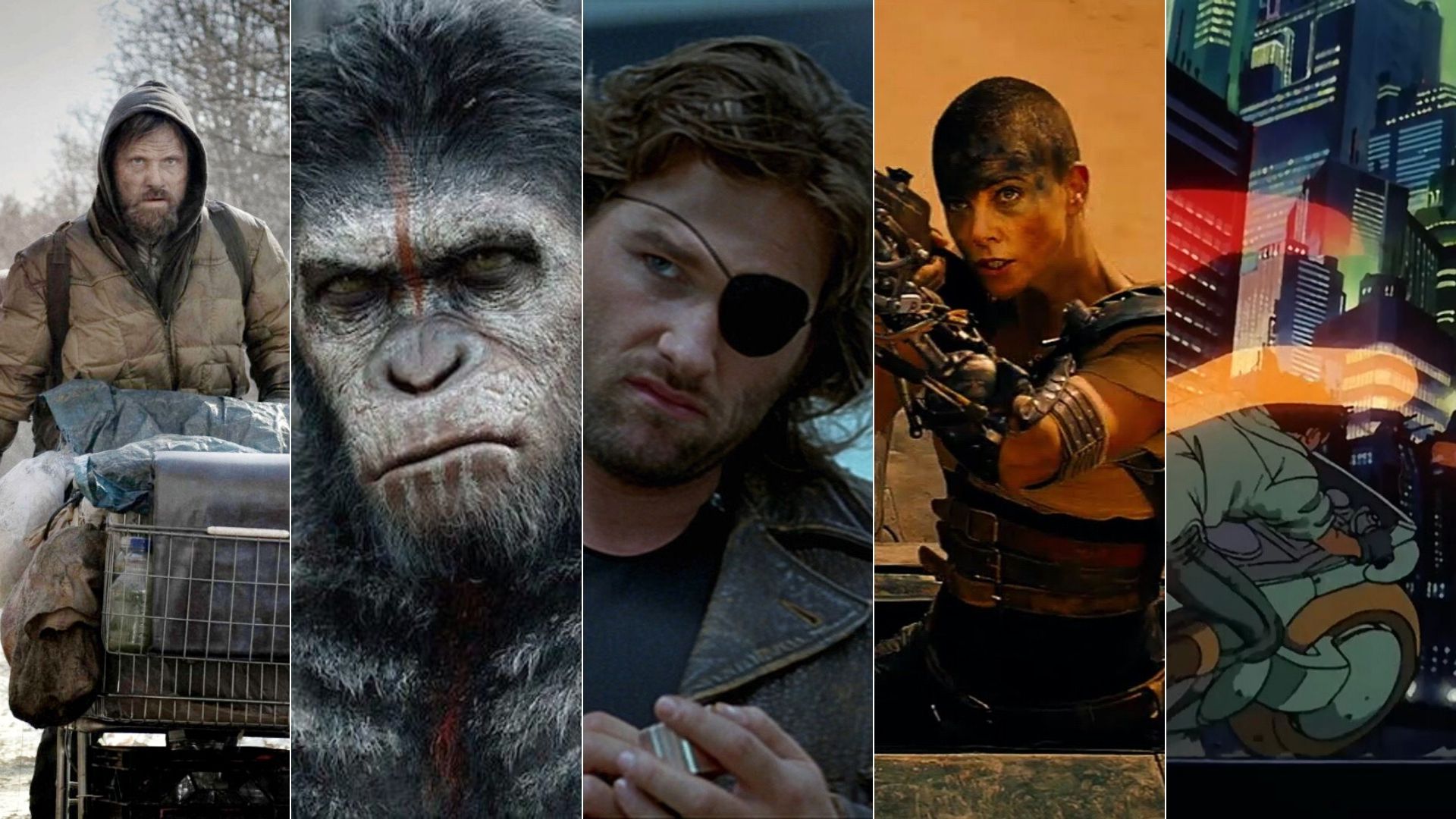 découvrez un film d'action post-apocalyptique palpitant où survie et combats intenses rythment chaque scène dans un monde dévasté.