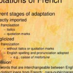 découvrez notre adaptation française fidèle et captivante, conçue pour préserver l'essence originale tout en s'adaptant parfaitement à la culture francophone.