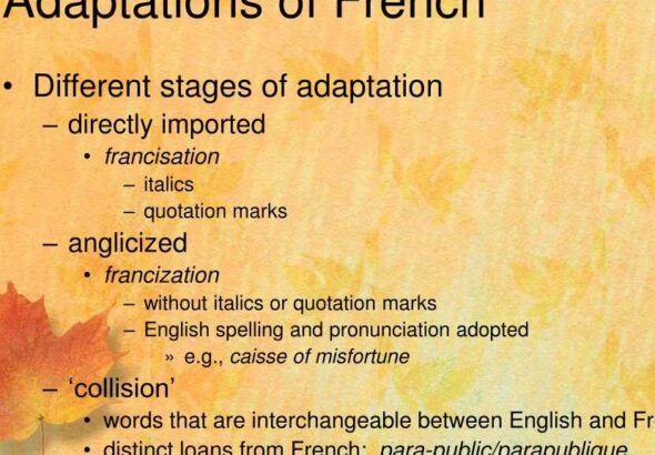 découvrez notre adaptation française fidèle et captivante, conçue pour préserver l'essence originale tout en s'adaptant parfaitement à la culture francophone.