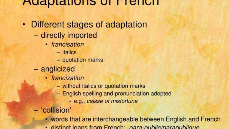 découvrez notre adaptation française fidèle et captivante, conçue pour préserver l'essence originale tout en s'adaptant parfaitement à la culture francophone.